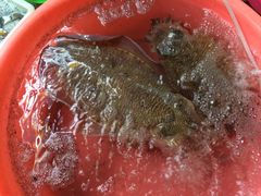 iphone_upload_pic-覃记海鲜美食餐厅