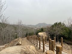 -白水寺森林公园