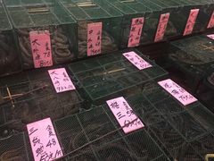 -荔城生鲜盛宴(番禺旗舰店)