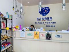 -太原东方动物医院(小店分院)
