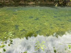 -常德桃花源景区