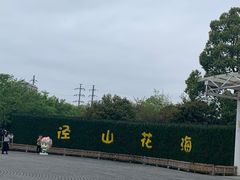 -径山花海