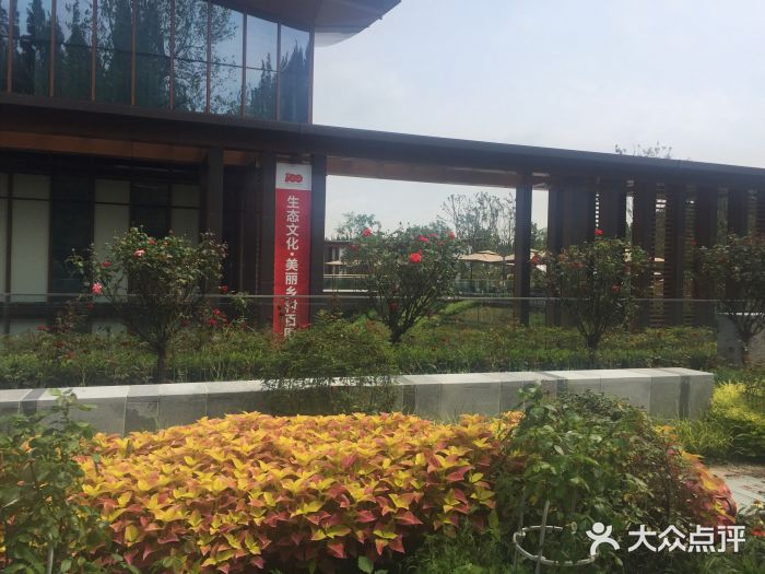 东平国家森林公园图片