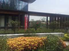 -东平国家森林公园