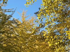 -辽宁大学(崇山校区)