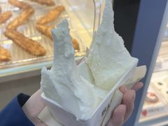 -野人先生现做冰淇淋(西安赛格店)