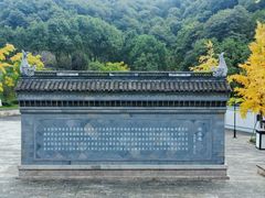 -东山风景区(洞庭东山)