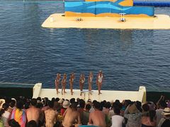 -秦皇岛乐岛海洋王国