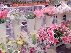 -KKV(重庆东原悦荟主力店)