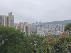 -福道