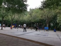 -金星公园