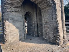 -上海佘山国家森林公园天马山园