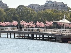 -新江湾城公园