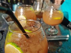 -柴犬高等学院·狗咖·柴犬售卖·宠物训练