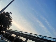 -二道木烤羊腿(桃花潭店)