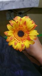 -艺米阳光Hair Salon