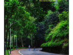 -火炉山森林公园