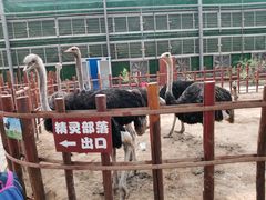 -呀路古热带植物园