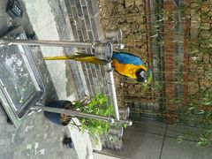 android_upload_pic-那家小馆•北京菜•烤鸭(中关村店)