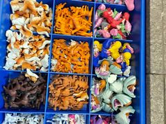 -华声天桥民俗文化园