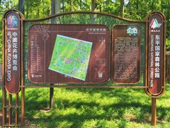 -东平国家森林公园