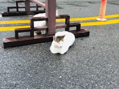 -钟山体育运动公园