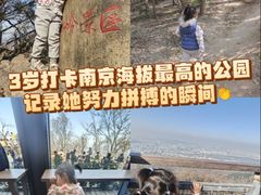-紫金山山顶公园