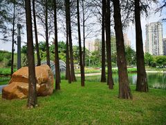-四海公园(南山区)