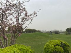 -银涛高尔夫练习场(徐泾店)