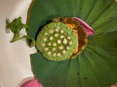 -叶叶菩提(太原别墅店)