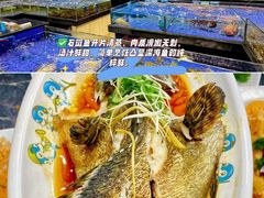 -小海豚•老字号海鲜餐厅(天涯店)