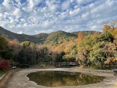 -杭州半山国家森林公园