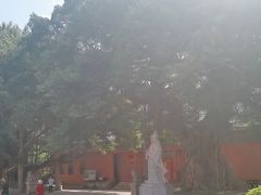 -闽粤南澳总镇府