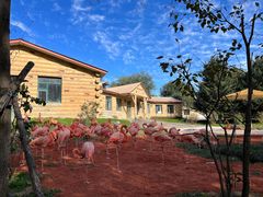 -哈尔滨北方森林动物园