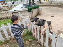 -前小桔亲子创意农场·草莓采摘·露营烧烤