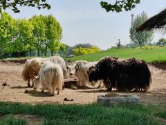 -北京野生动物园