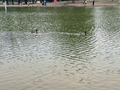 -太阳宫公园