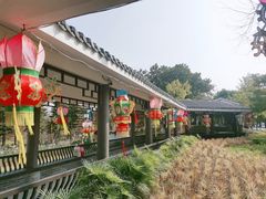 -映月湖公园