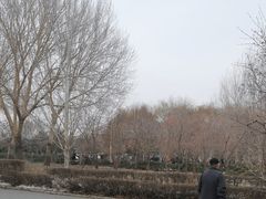 -长春公园(普阳街道)