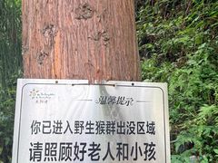 -太阳湾风景区