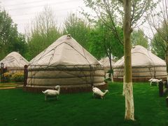 -九十九顶毡房(阜石路店)