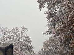 -终南山国家森林公园