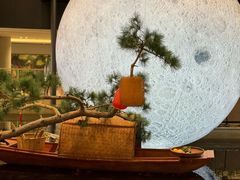 -漾花汐·西餐·下午茶(苏州湾歌林公园店)