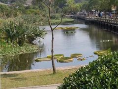 -兰剑驾校(汉阳校区)