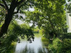 -浙江安吉JW万豪酒店·万豪中餐厅