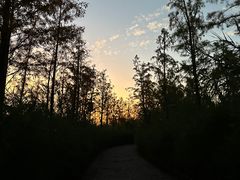 -三垟湿地