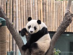 -天津市动物园