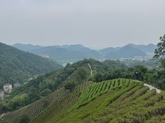 -午潮山国家森林公园
