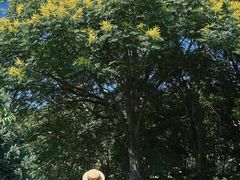 -郑州植物园