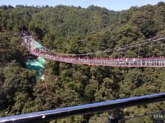 -九龙江国家森林公园